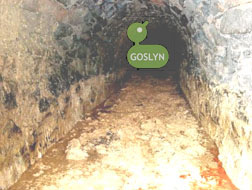 Dublin sewer