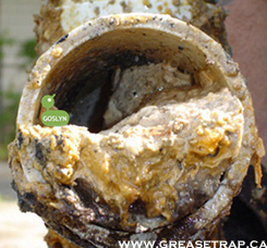 Grease Clogged Sewer Pipe