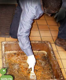 Grease Trap Cleaning