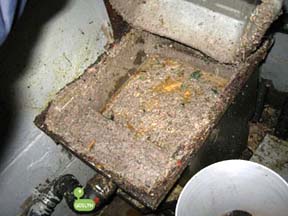 grease trap 4